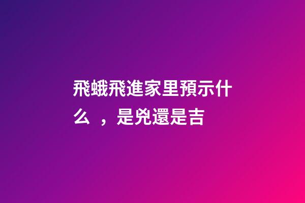 飛蛾飛進家里預示什么，是兇還是吉